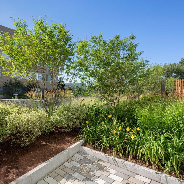 Fuse Cambridge Apartments - Patio with Plants