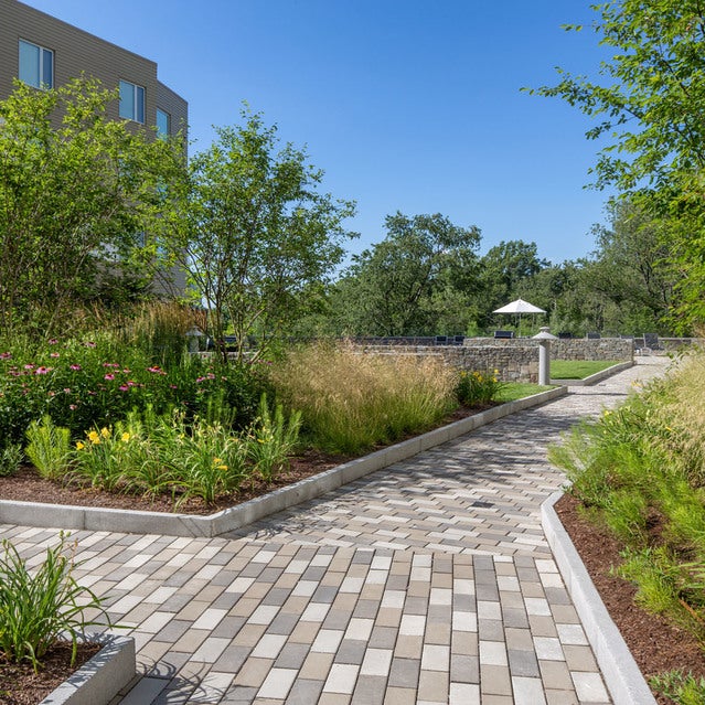 Fuse Cambridge Apartments - courtyard with walking path and beautiful green landscaping