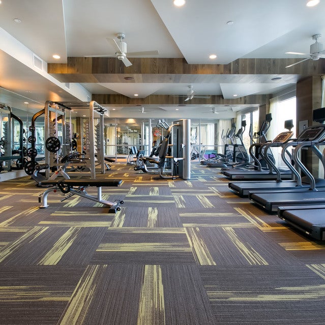 Fuse Cambridge Apartments - fitness center with cardio equipment, weight lifting machines, free weights, and more