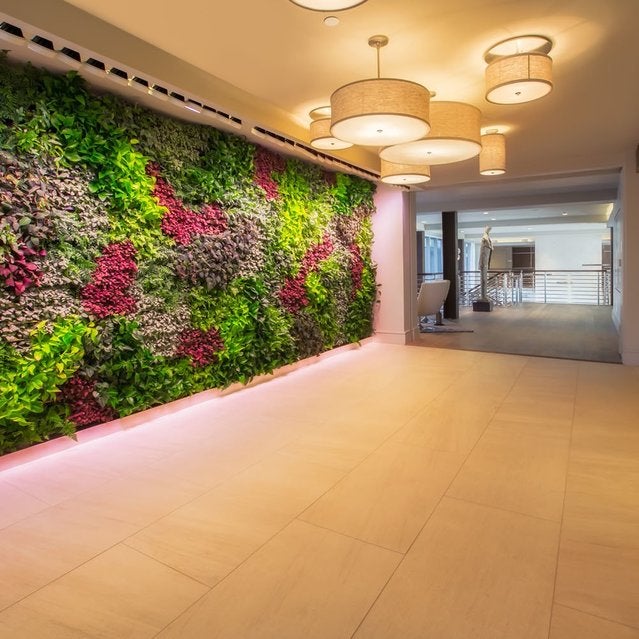 Fuse Cambridge Apartments - living green wall with live plants upstairs from lobby